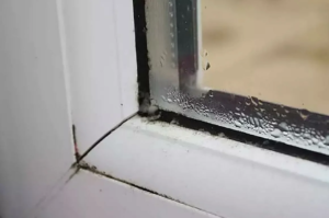 🔧 Кто делает строительную экспертизу?