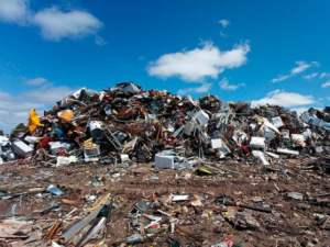 Почвоведческая экспертиза 🌍🌱